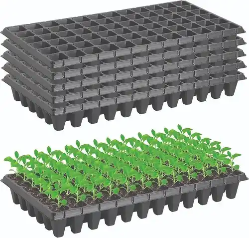 Nursery Tray